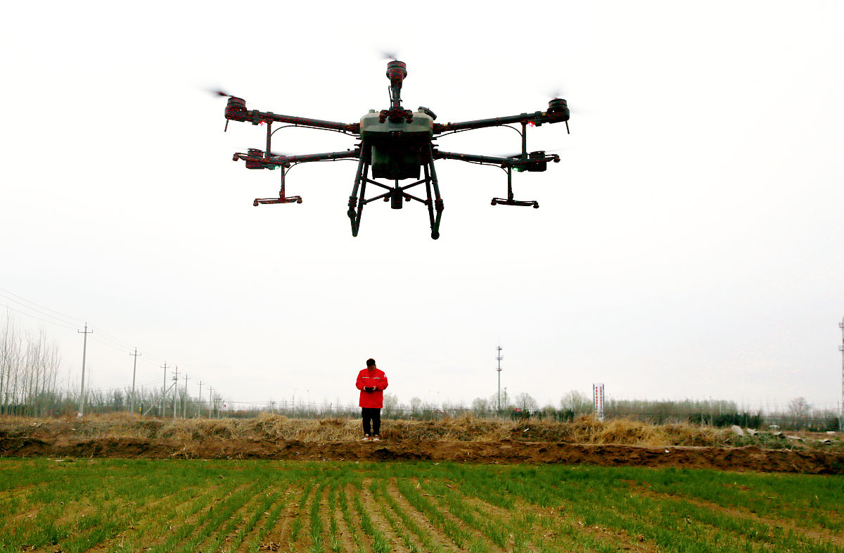 外省人在海南可中请家庭农场吗帮我用180字详细描述