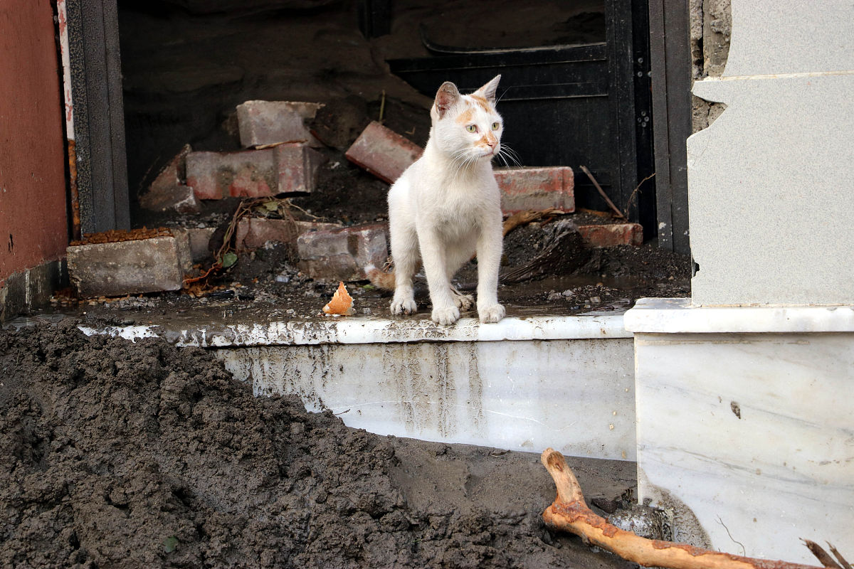 四川应急管理与减灾技术专业大学名单及就业前景分析