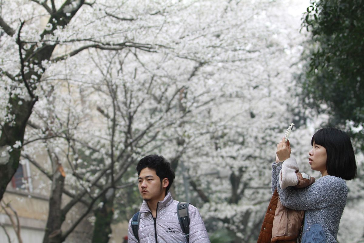 2013年3月13日,武汉大学开始按每人次20元标准向社会游客收取"赏樱门