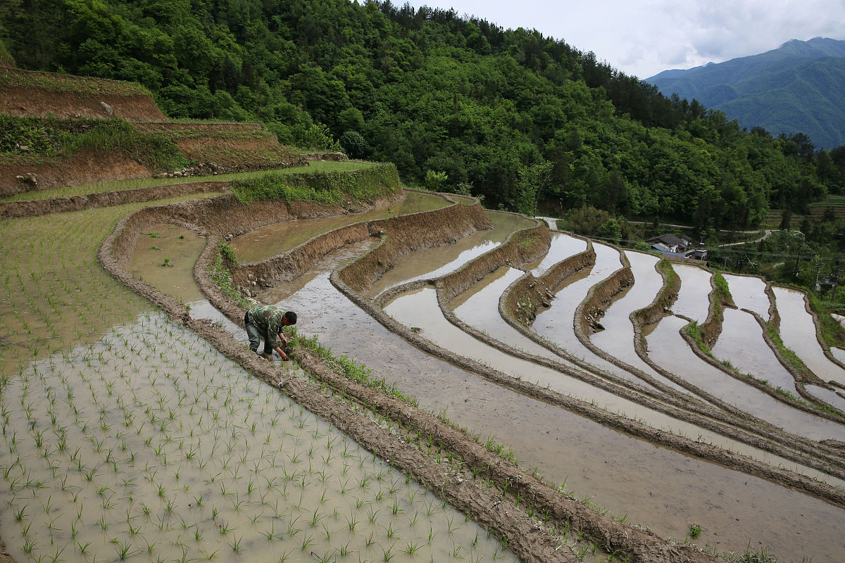 动物医学常见微量元素营养功能缺乏以及过量