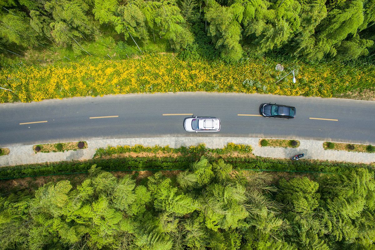 浙江公路技师学院2023年招生专业：专业齐全、师资雄厚，值得期待！