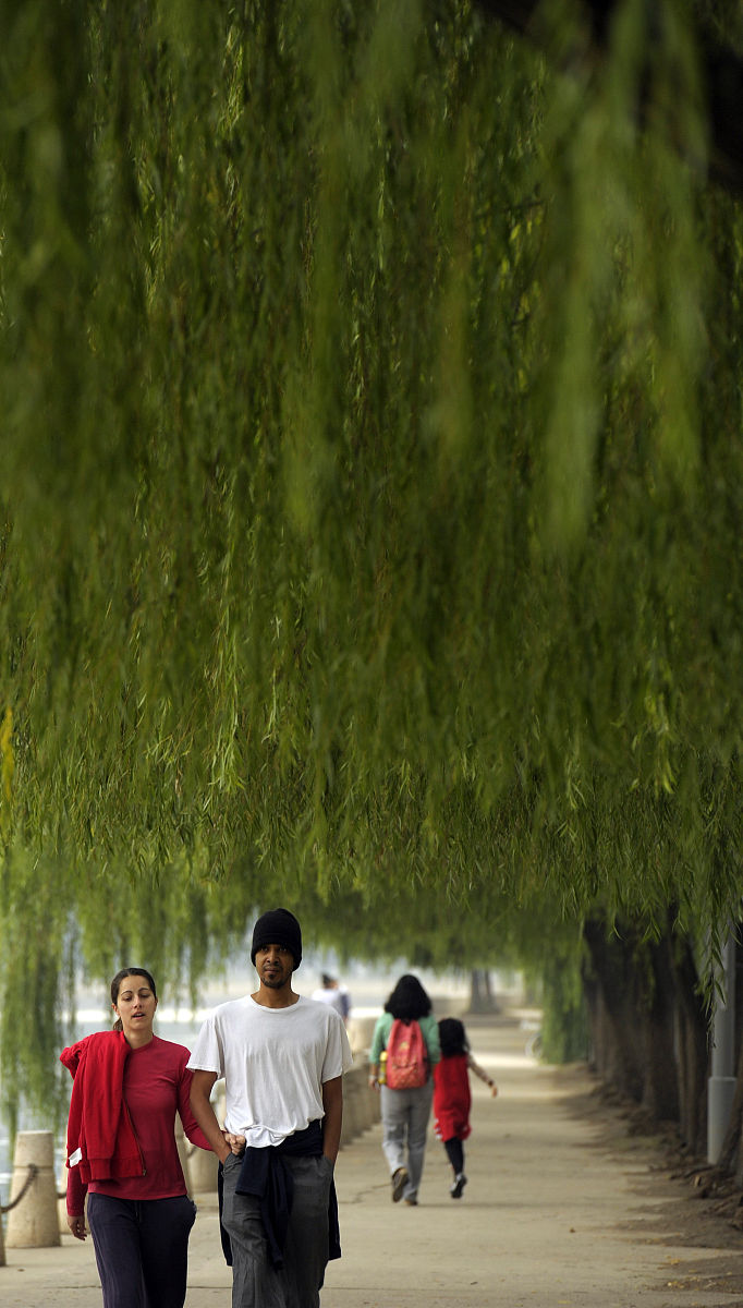 植物妈妈有办法仿写。