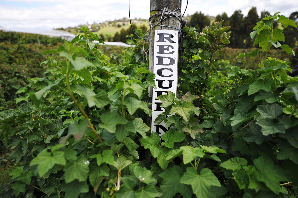 河南农业职业学院招生电话：0371-xxxxxxxx | 农业人才培养基地