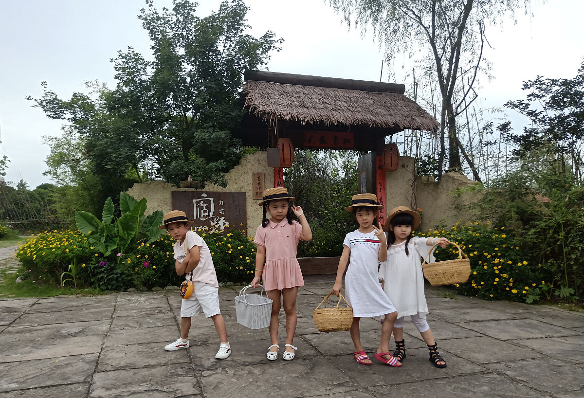 2019年7月7日,成都,小朋友采摘蔬菜.探访温江区寿安镇岷江村1组九坊宿