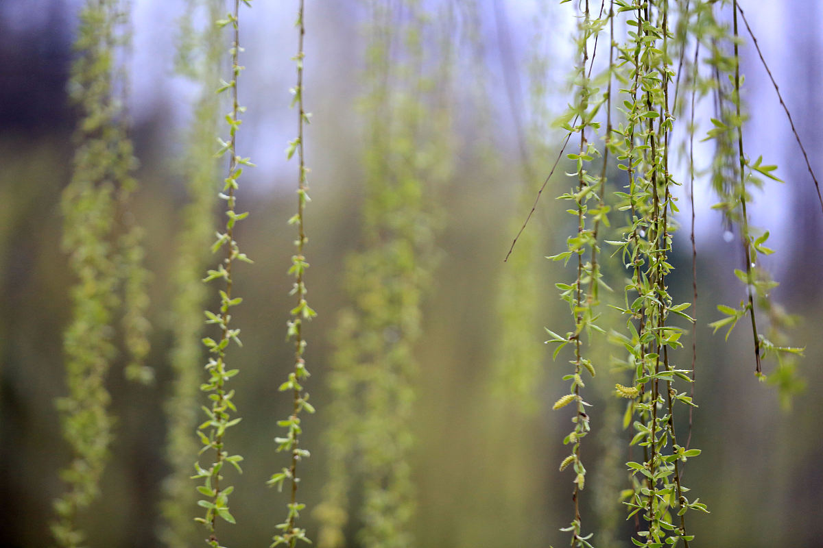 继续上面的诗句