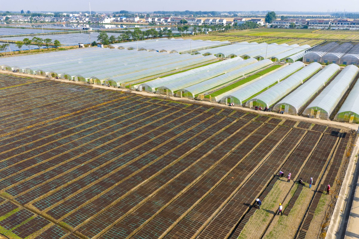 中兴慧农：农业领域稳步前进，取得坚实进展