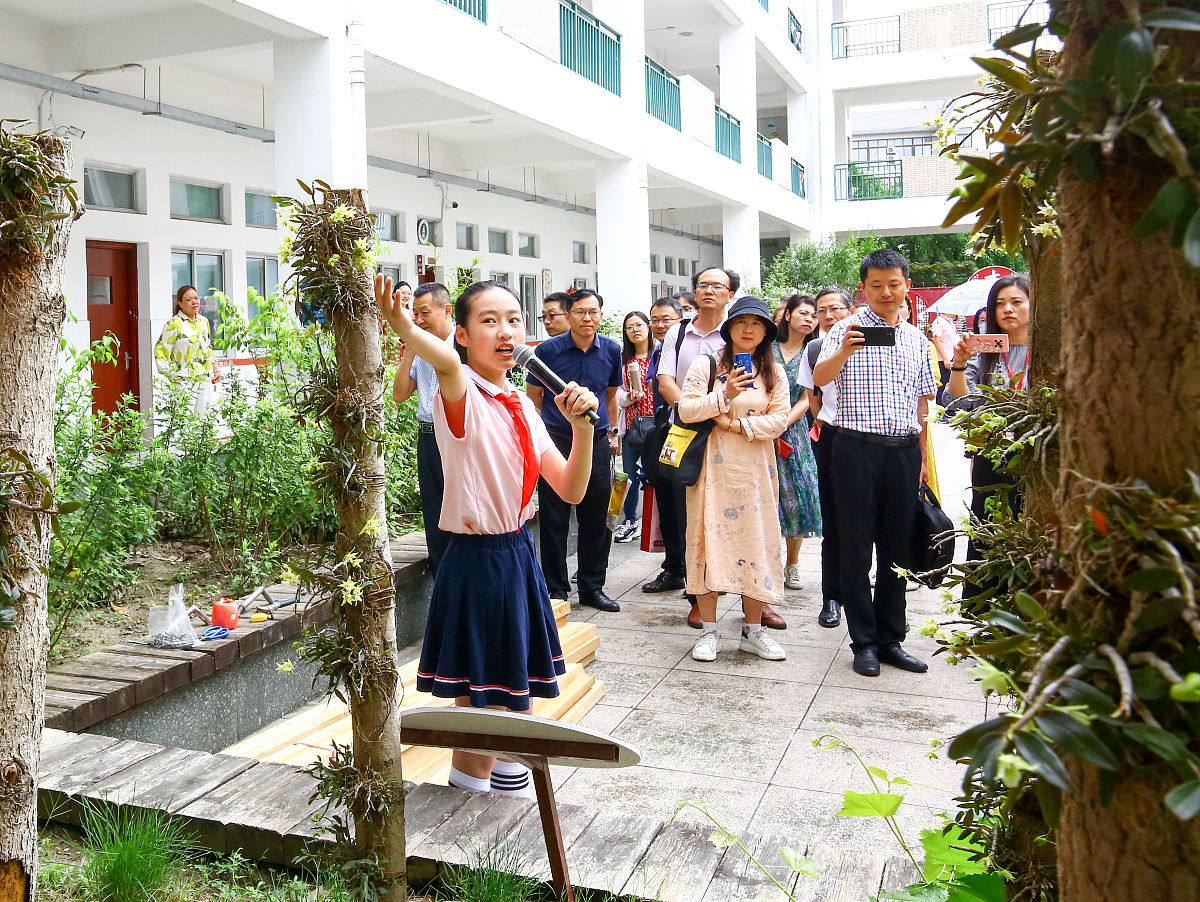 2021年6月16日,在江苏南通如皋师范学校附属小学,学生在"本草"全景整