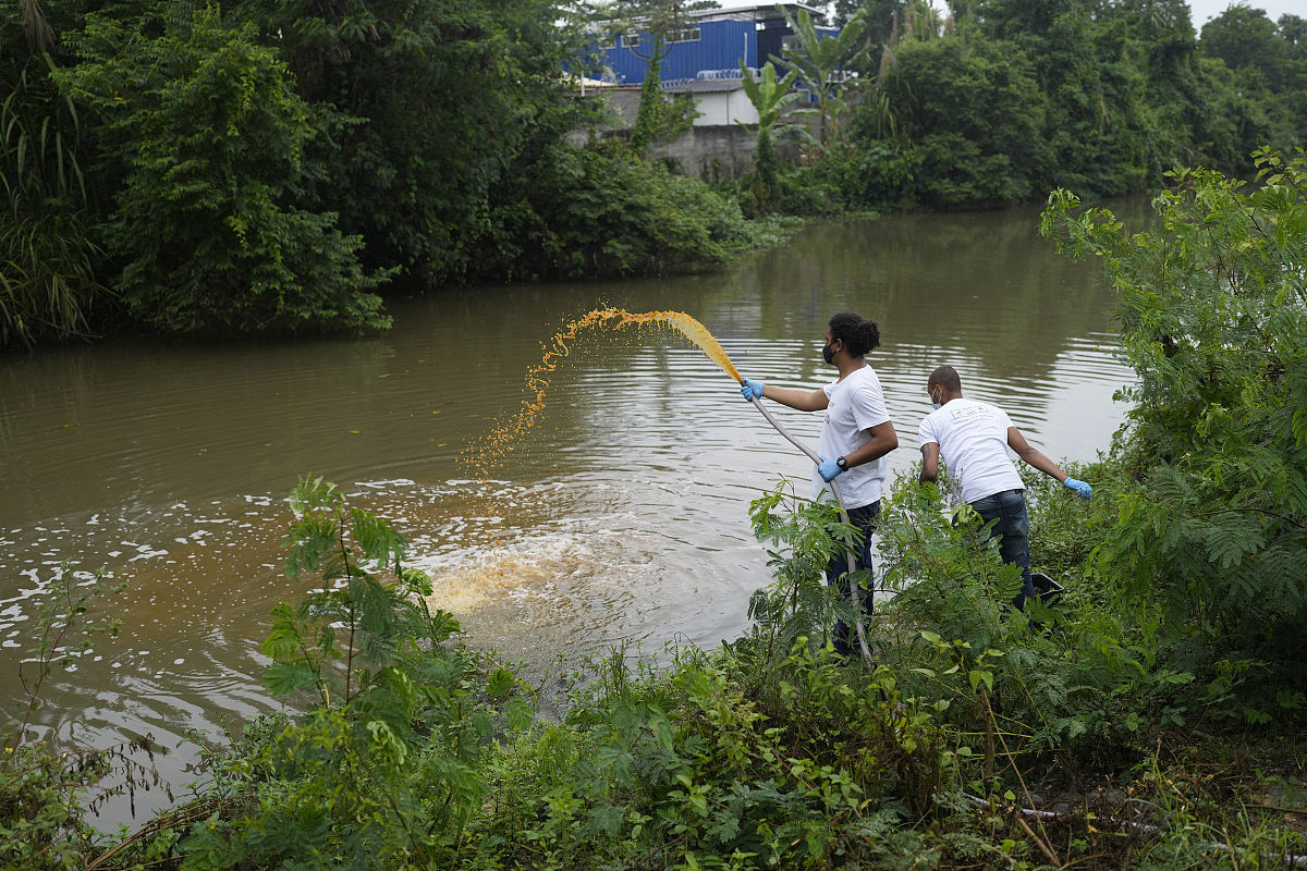 ENVIRONMENTAL MICROBIOLOGY期刊研究内容详细介绍？
