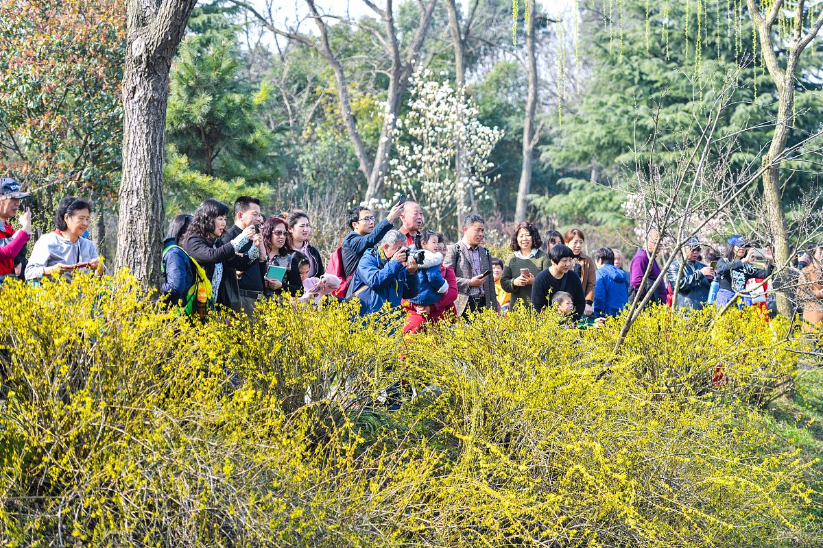 请不少于800汉字的博客文章语言要幽默口语化。主题是：春天的习俗春游带什么