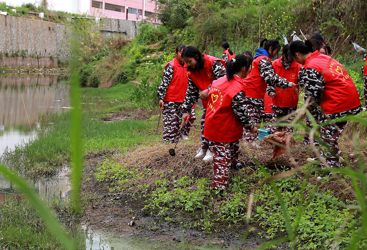 大学劳动实践教育感想：体会劳动价值，珍惜生活，感悟集体力量
