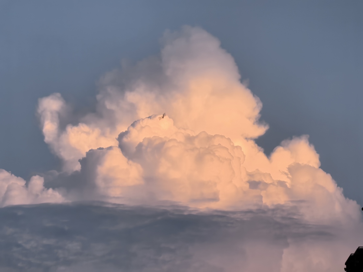 广州从化天气预报 - 未来四天天气情况