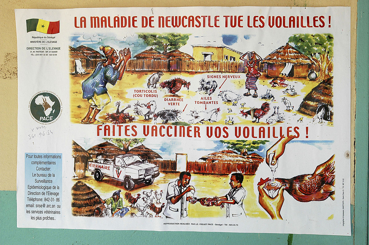 Our Visit Series Continues: Exploring More Amazing Places