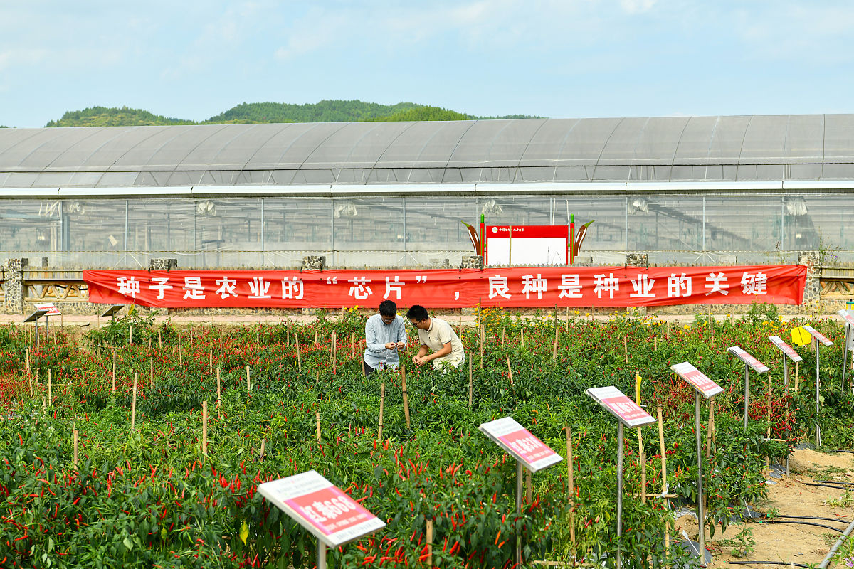 石家庄市藁城区职业技术教育中心果蔬花卉生产技术好不好？有什么招生要求；：：；；第三件事输入分隔符##################