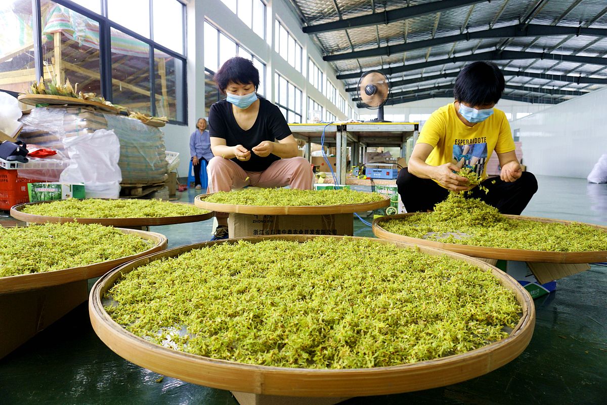 贵州农业职业学院中小企业创业与经营专业可以选择哪些就业方向