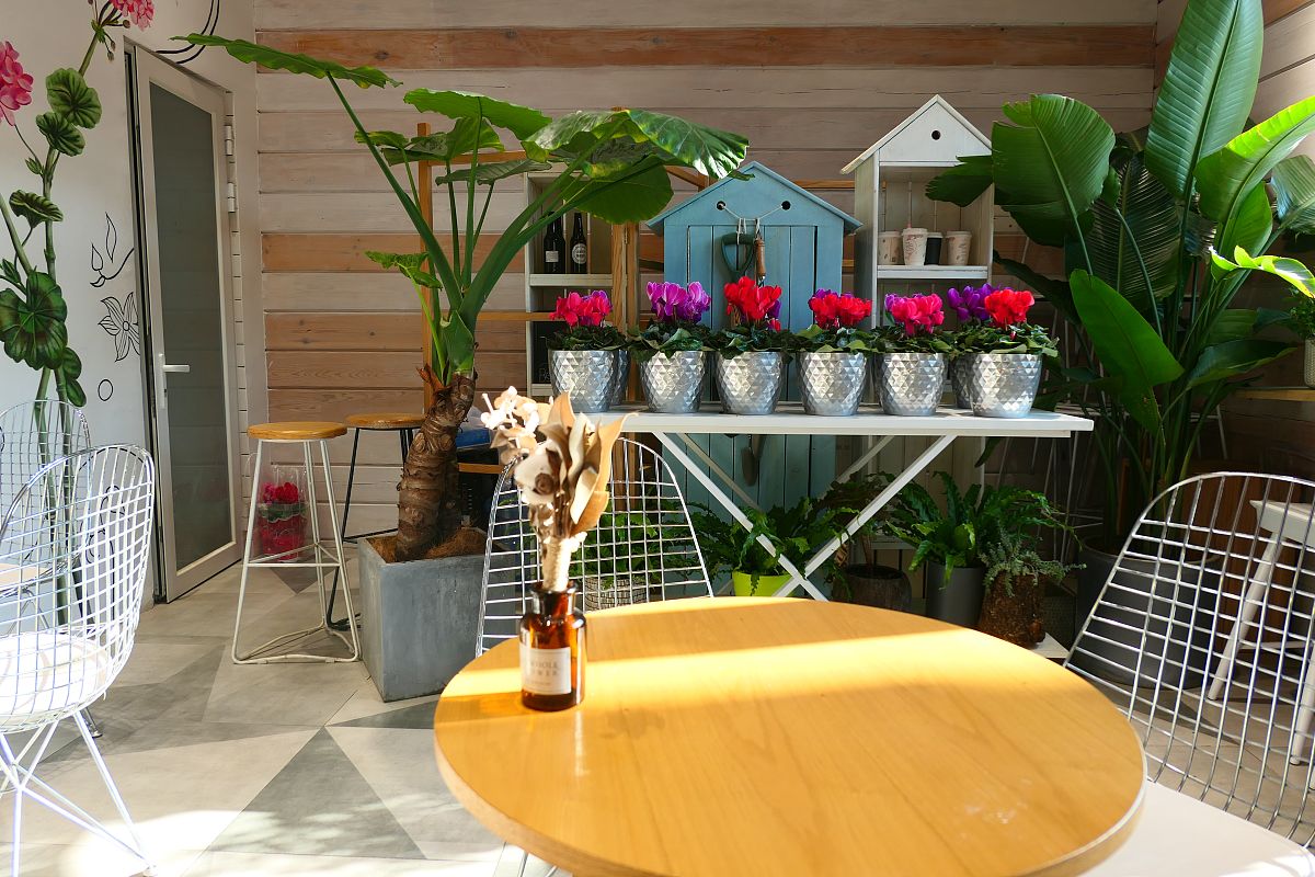 我和科技小院的故事：用科技改变世界