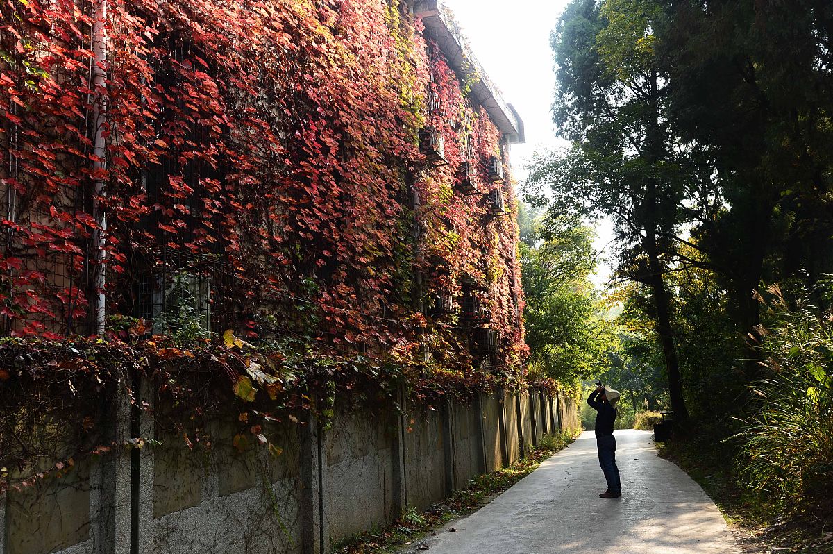 贵阳铁路运输学校专业设置：全面发展，但也需与时俱进