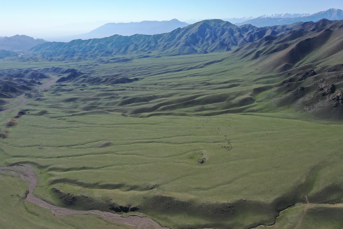 2021年5月23日,无人机航拍新疆博州岗吉格山深处的保加拉克夏牧场.