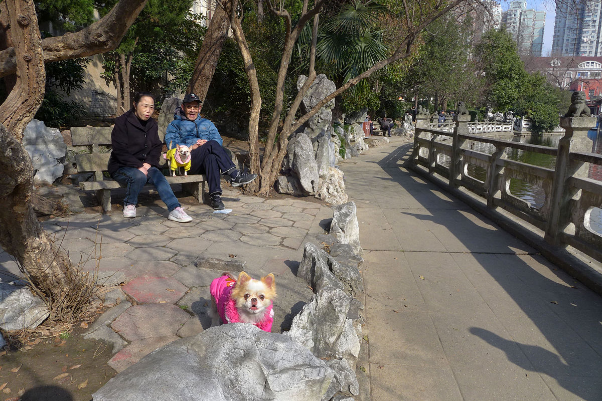 统筹城乡发展的措施有 1A统筹城乡规划B统筹城乡产业发展C统筹城乡就业D统筹城乡社会管理 多选题 说明理由