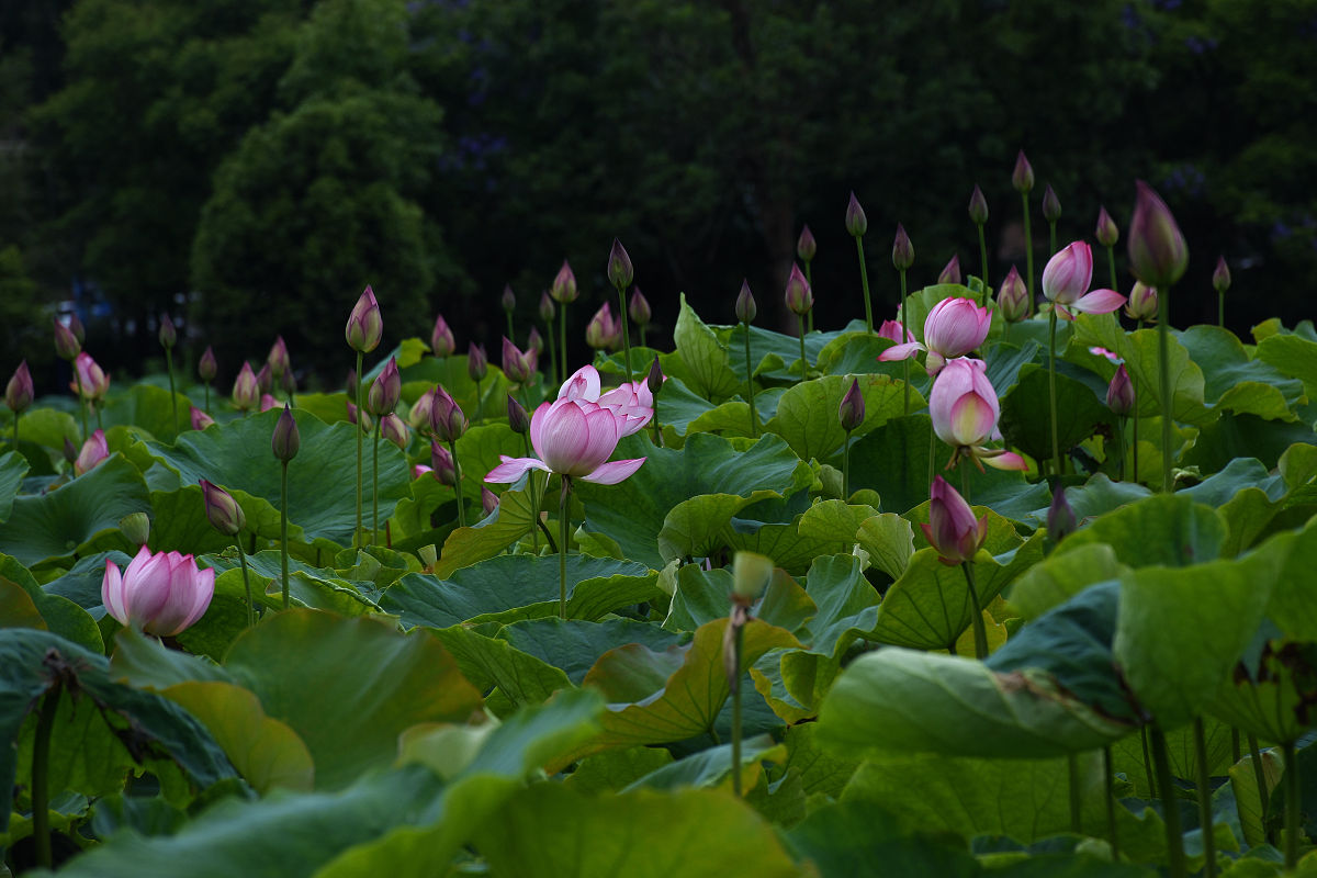 保山市中专学校排名top5用