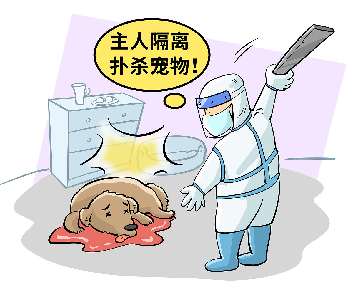 如何避免狂犬病感染 (不打疫苗)