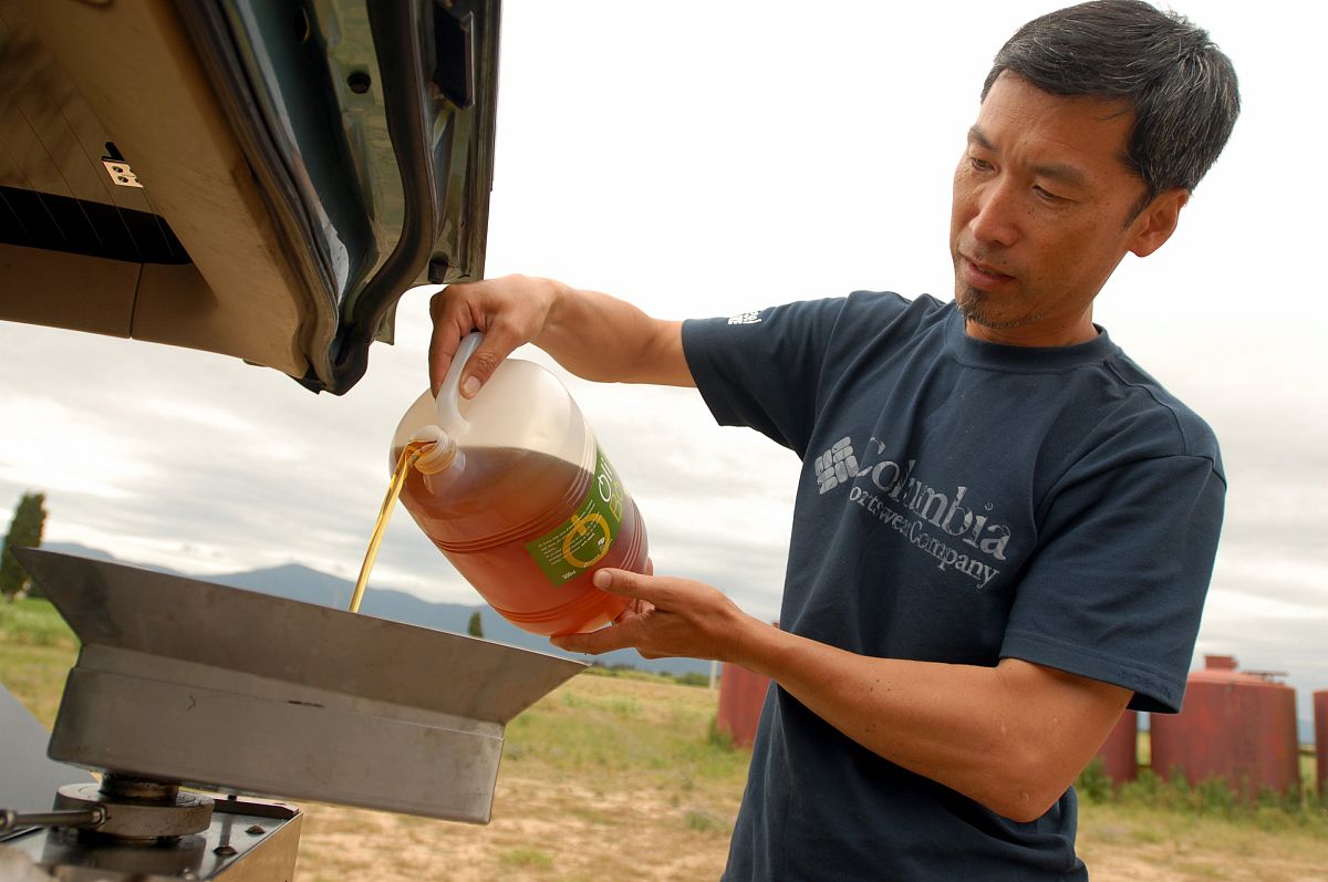 Dogecoin: 'That Bird Is Gone' - What Does It Mean?