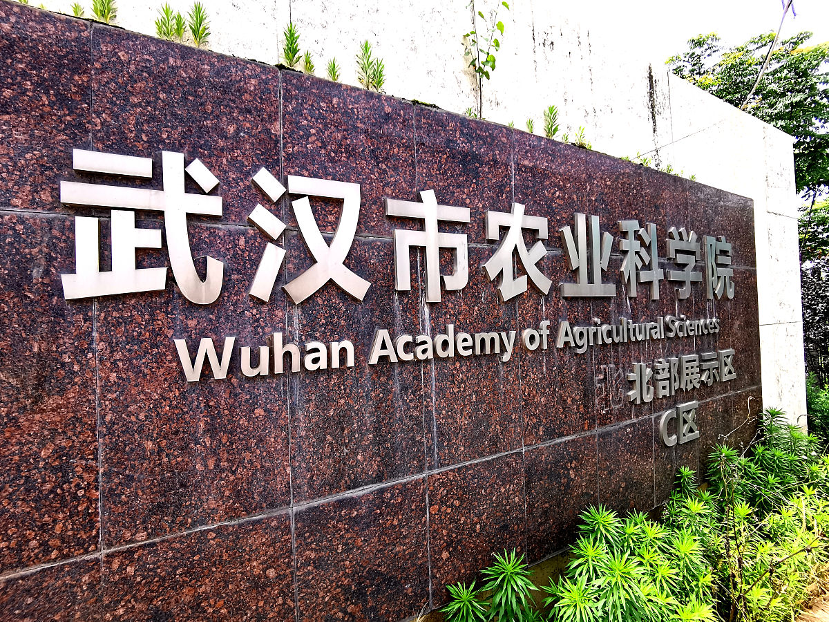 成都农科院-国际经济与贸易专业招生