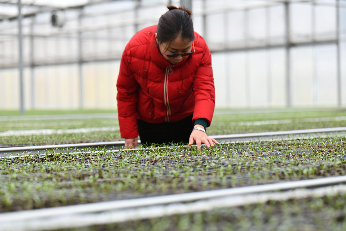 贵州畜牧兽医学校农业装备应用技术专业怎么样？就业前景好吗？