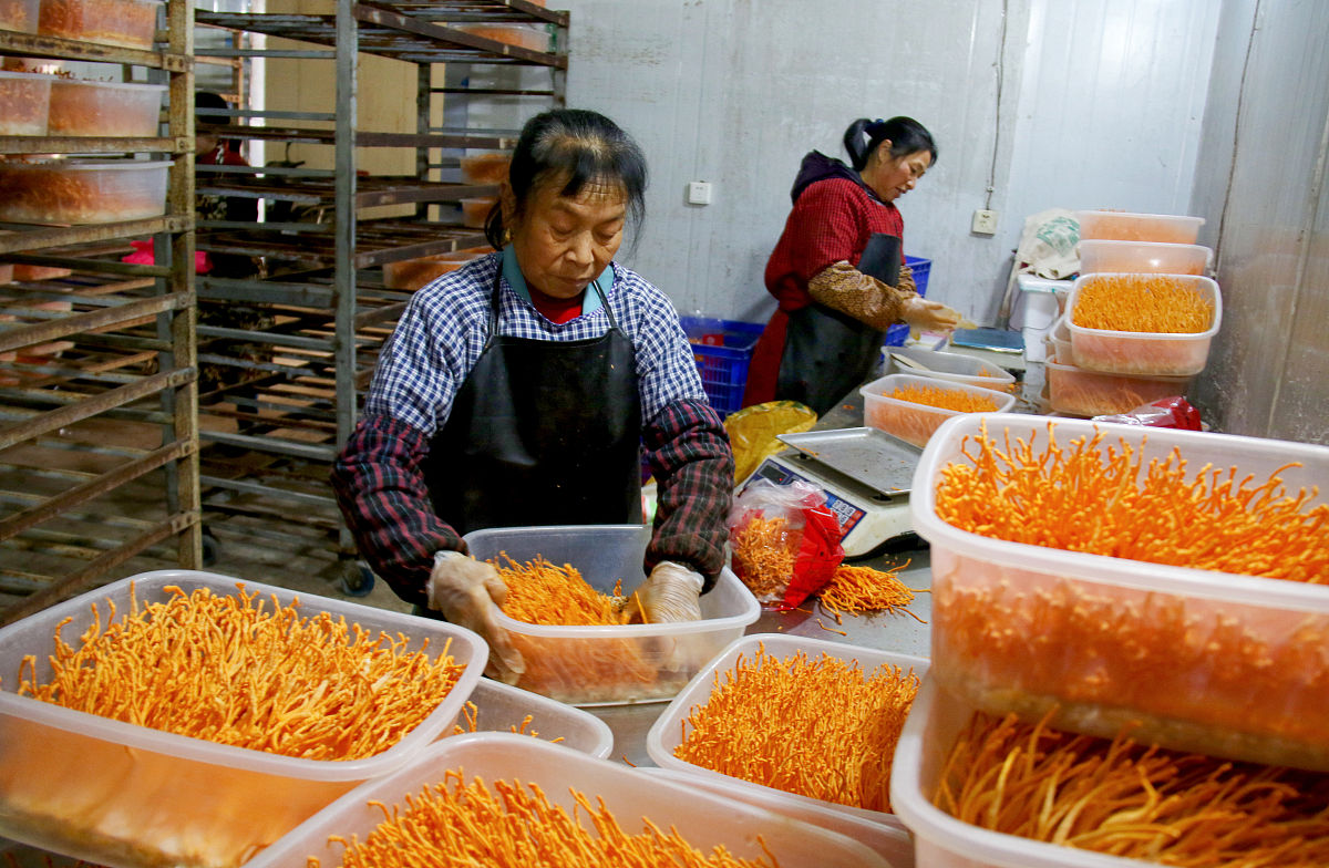 南充2022年卫校哪个比较好