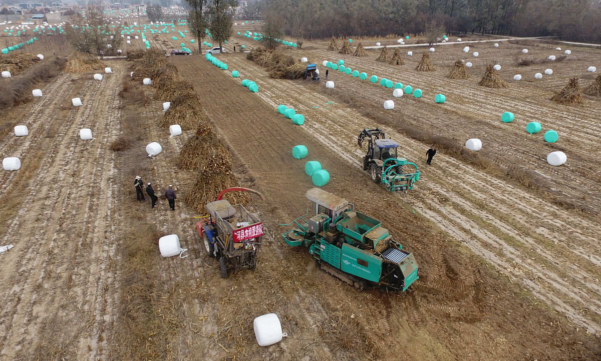 甘肃可以读农机维修专业的职校有哪些