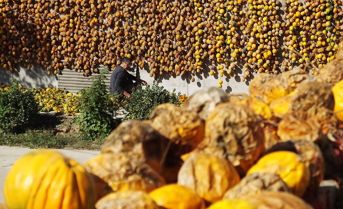 山西药科职业学院药品服务与管理专业优势怎么样发展前景好不好呢
