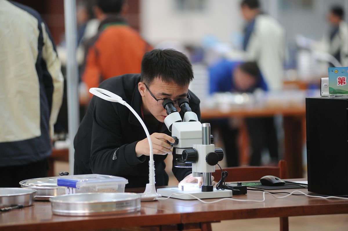 当代高职学生特点分析：学习、五育发展趋势
