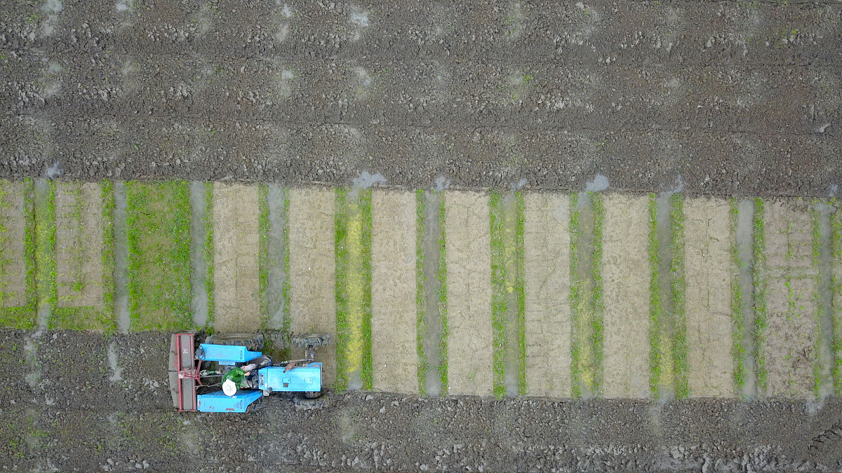 重庆市农业机械化学校2019年学前教育专业招生简介