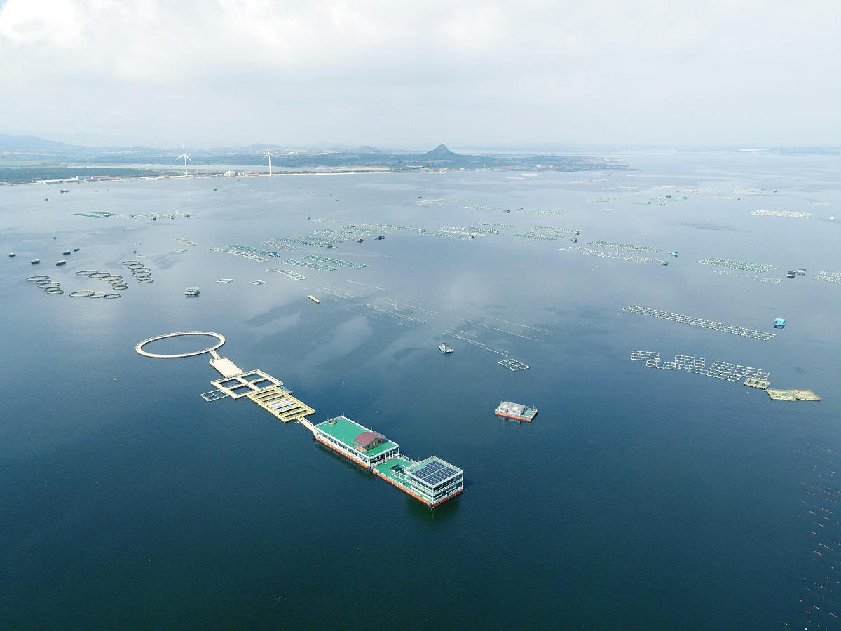 威海海洋职业学院数字媒体应用技术专业：好学吗？与新迈尔（北京）科技相比如何？