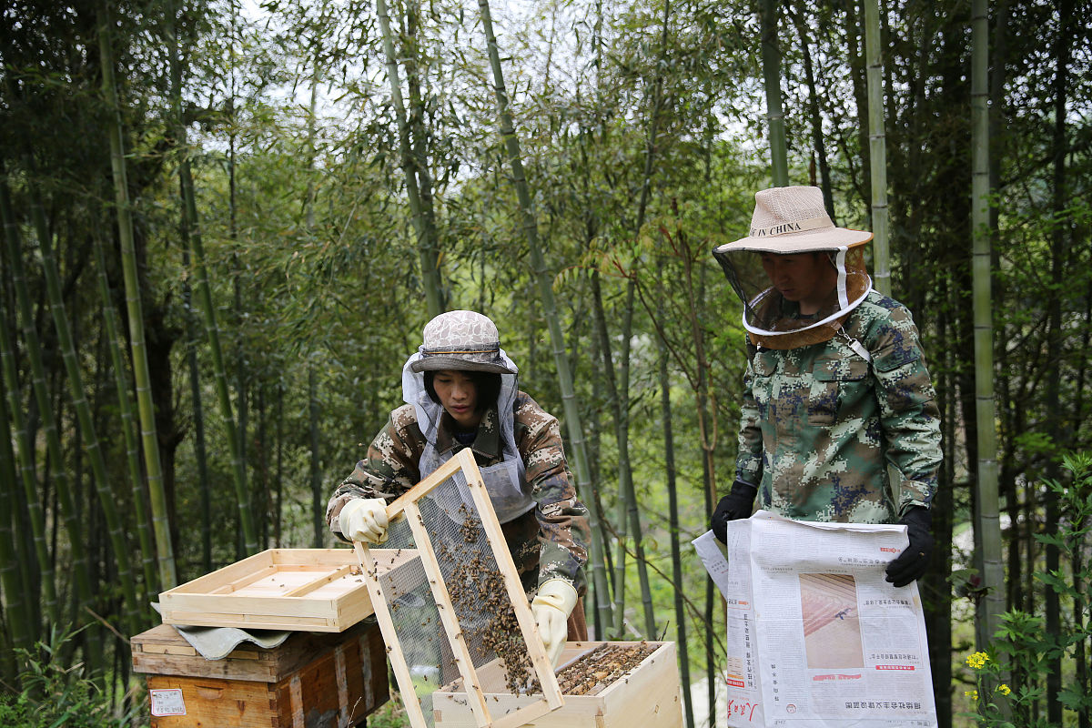 陕西省理工学校2021年招生专业有哪些？- 附热门专业解读