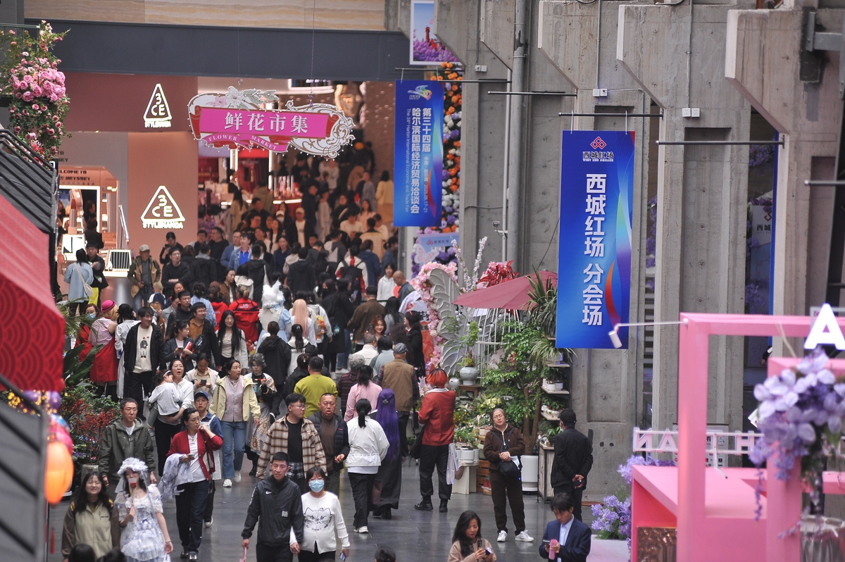 快闪活动街头采访：IP内容解析与未来趋势