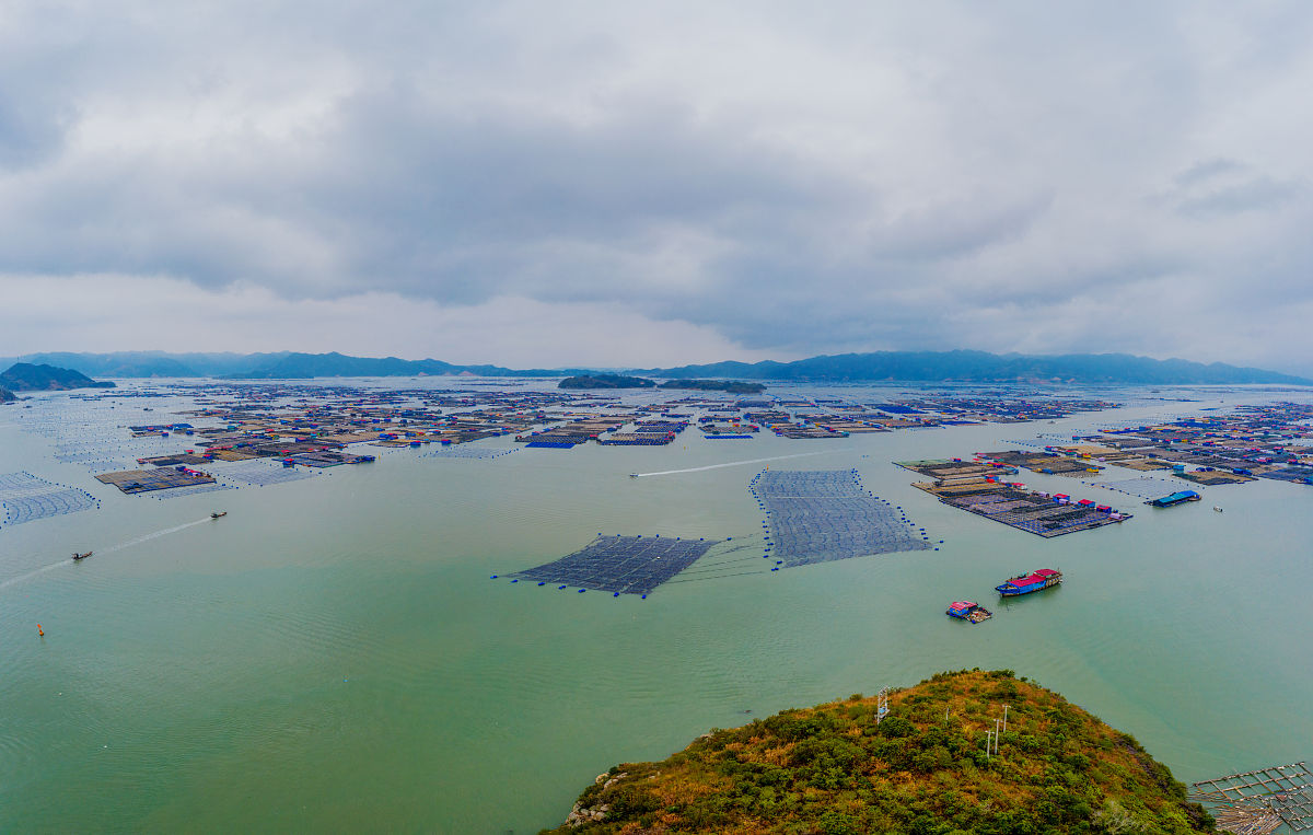 2020年12月16日,福建霞浦,东安海上渔村,鱼排.