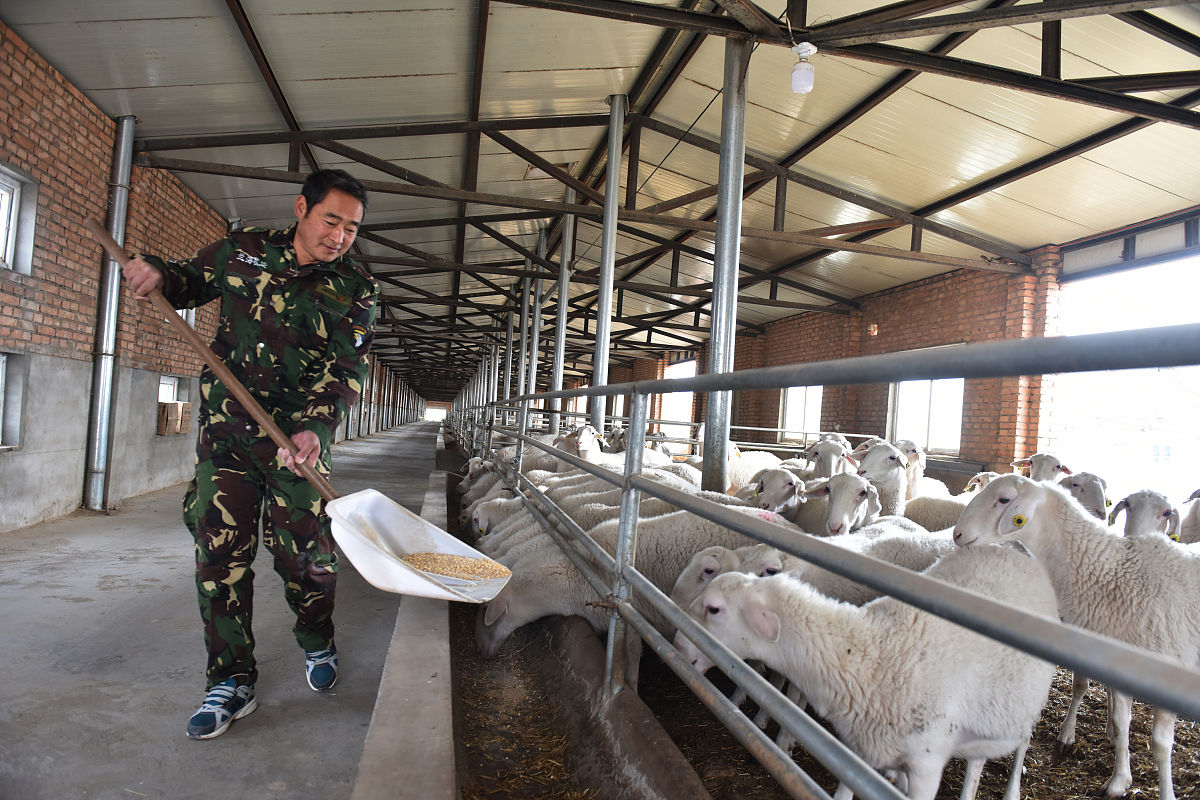 曲靖市畜牧养殖学校五年制招生专业详解 - 为未来畜牧养殖行业发展打下坚实基础