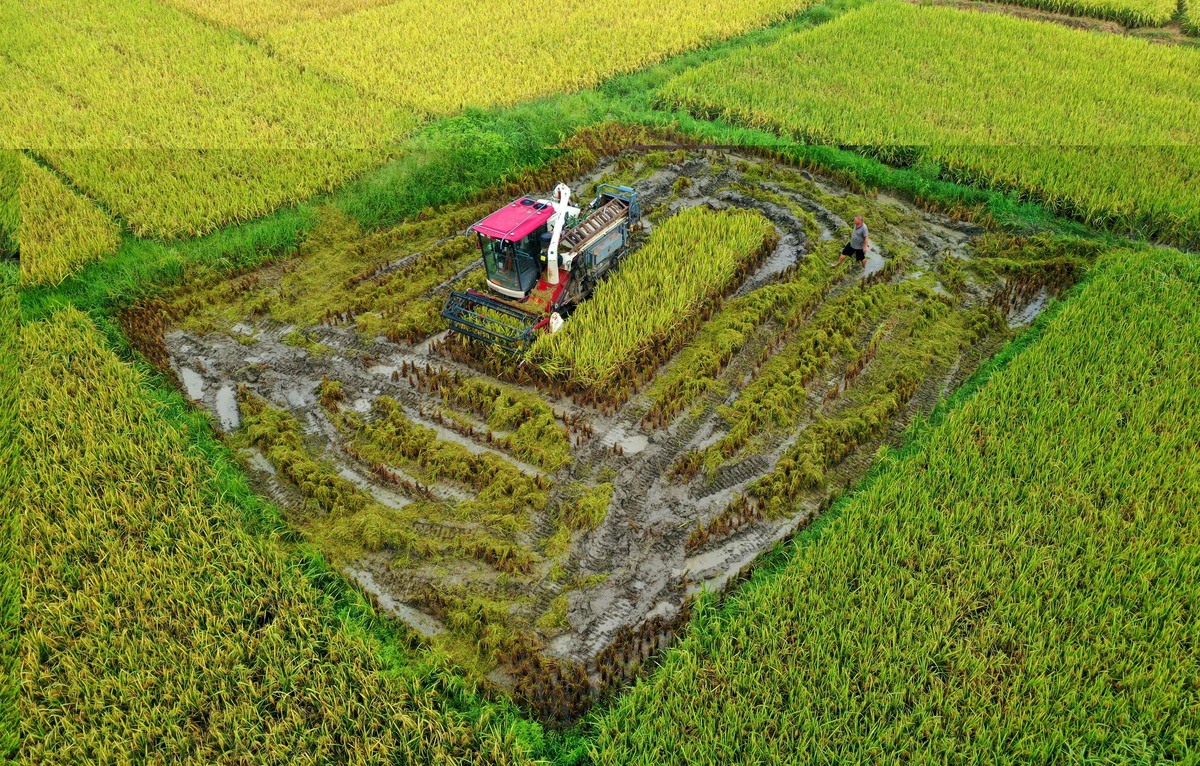 数字乡村解决方案：如何利用科技推动乡村振兴