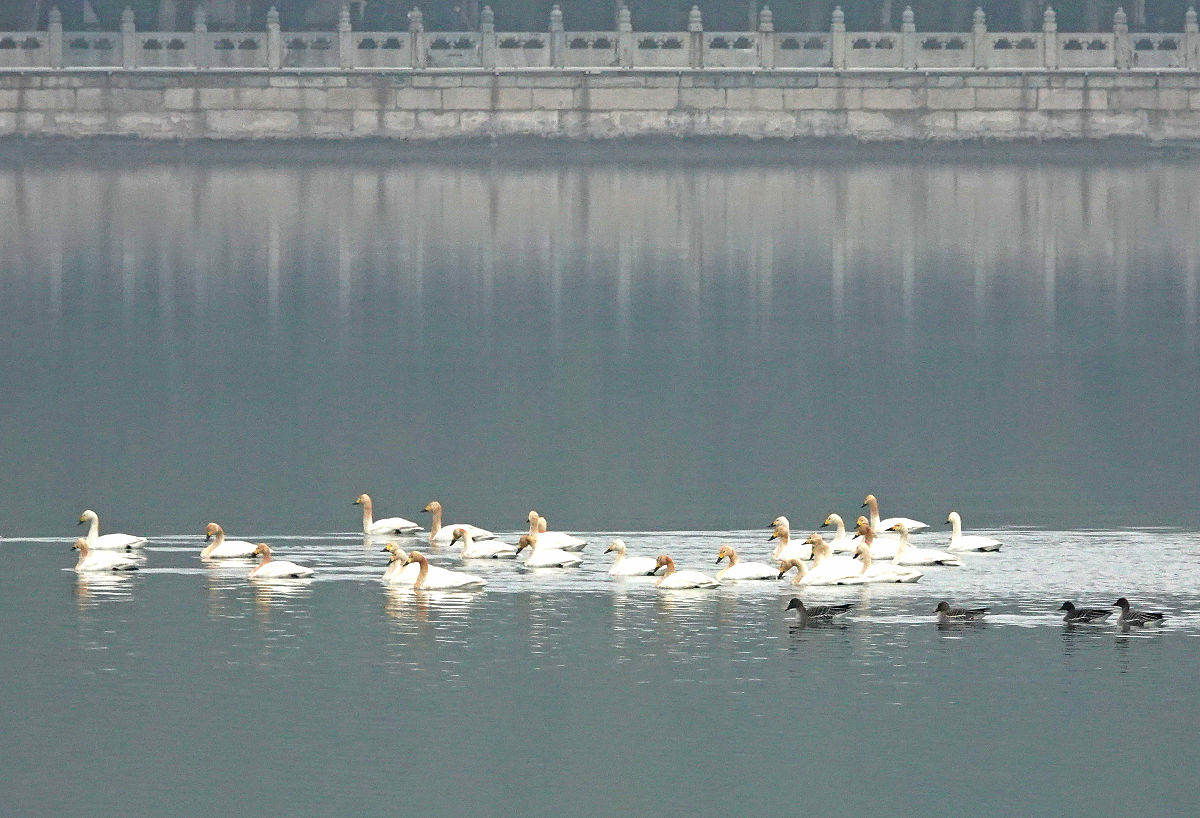 昆明机电工程学校2022年招生简章