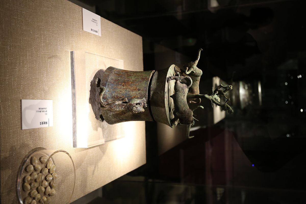 重庆三峡职业学院单招是民办还是公办？-招生解读