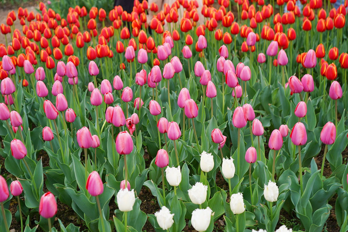 贵阳五年制大专学校：未来发展方向解析