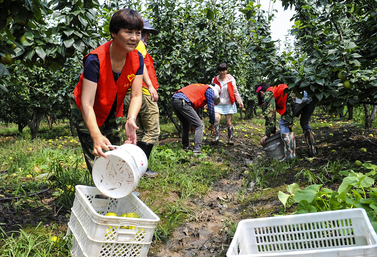 来到爷爷奶奶家进行暑期社会实践的第三天。今天下雨在家进行数据整理。了解农户基本情况。 扩写成150字的实践内容和50字的实践感想