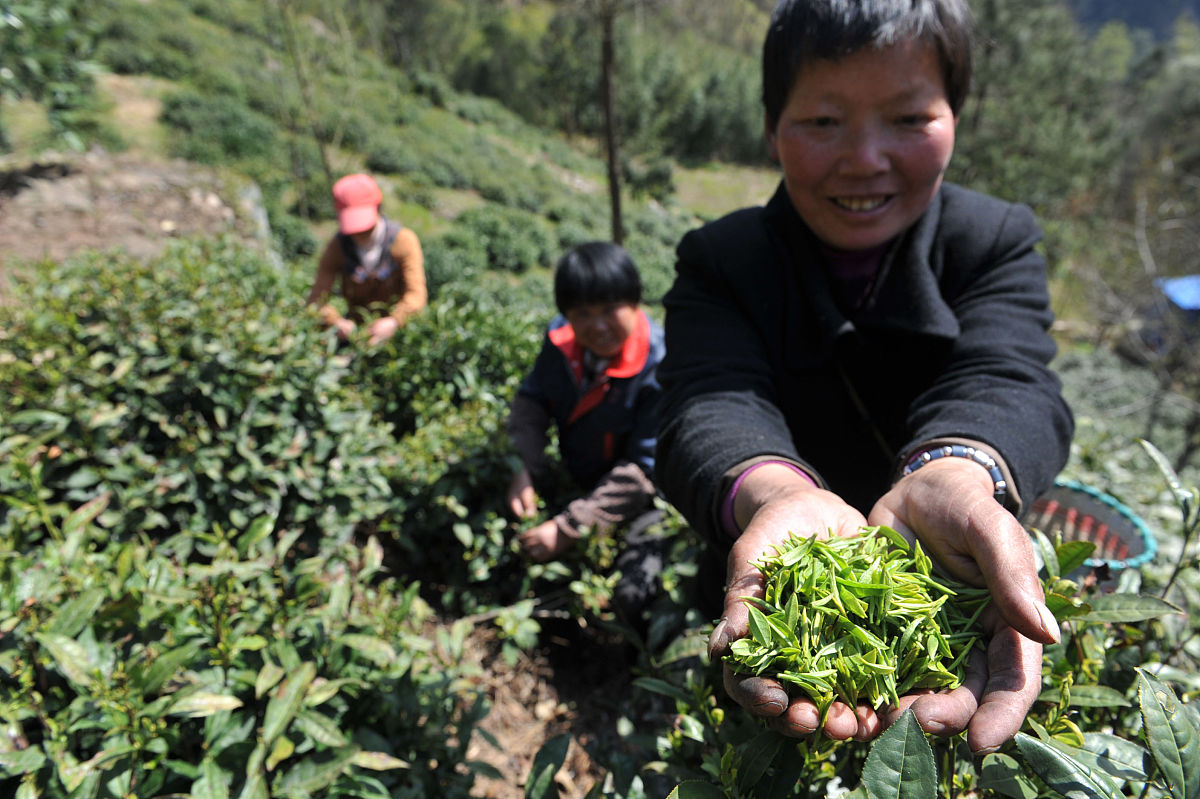 贵州省农业广播电视学校2021年招生专业有哪些