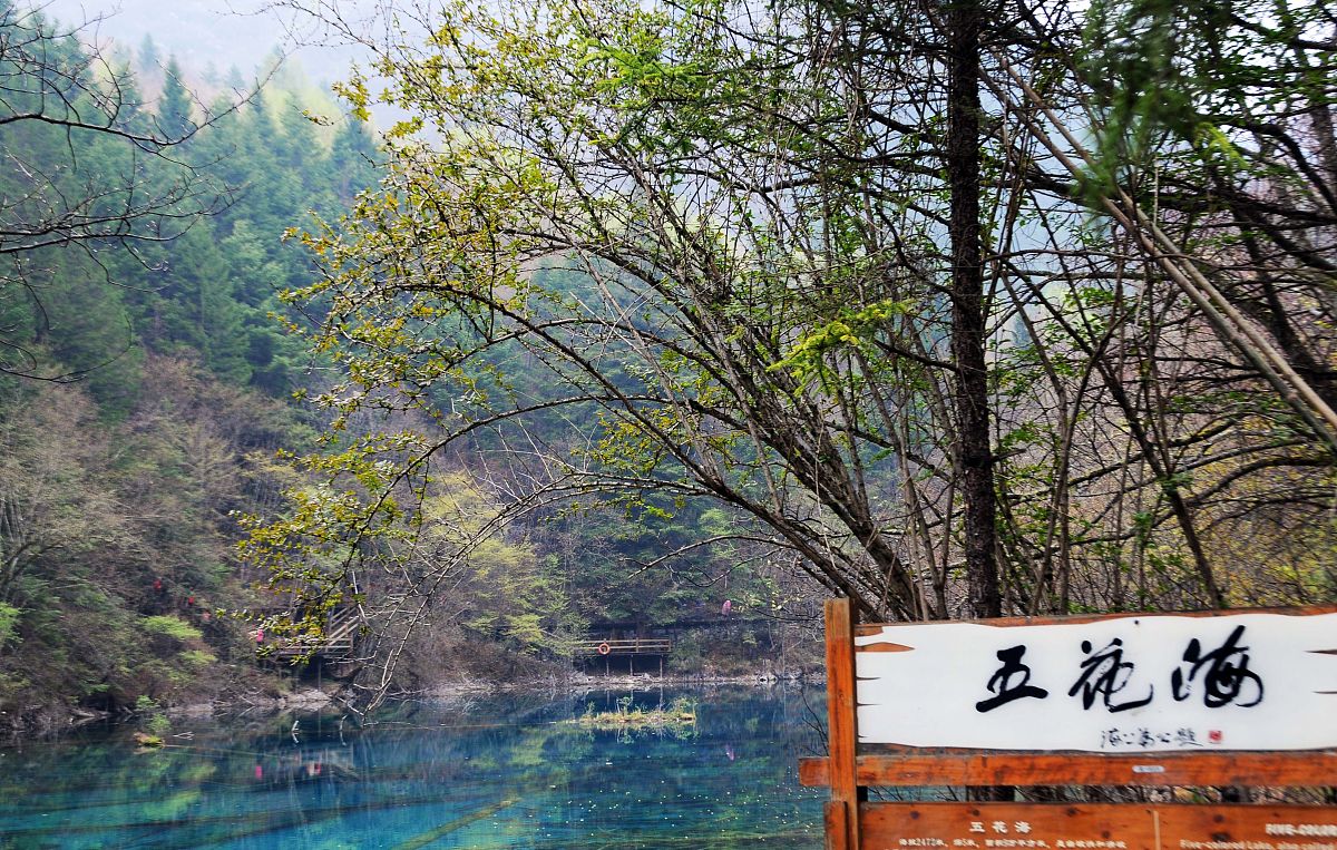 成都开车去宁波沿途风景有哪些地方