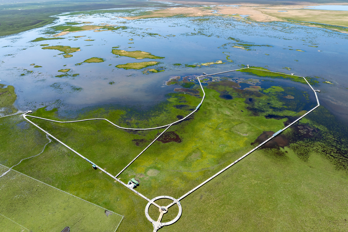 河流生态系统的保护的报告10000字总结