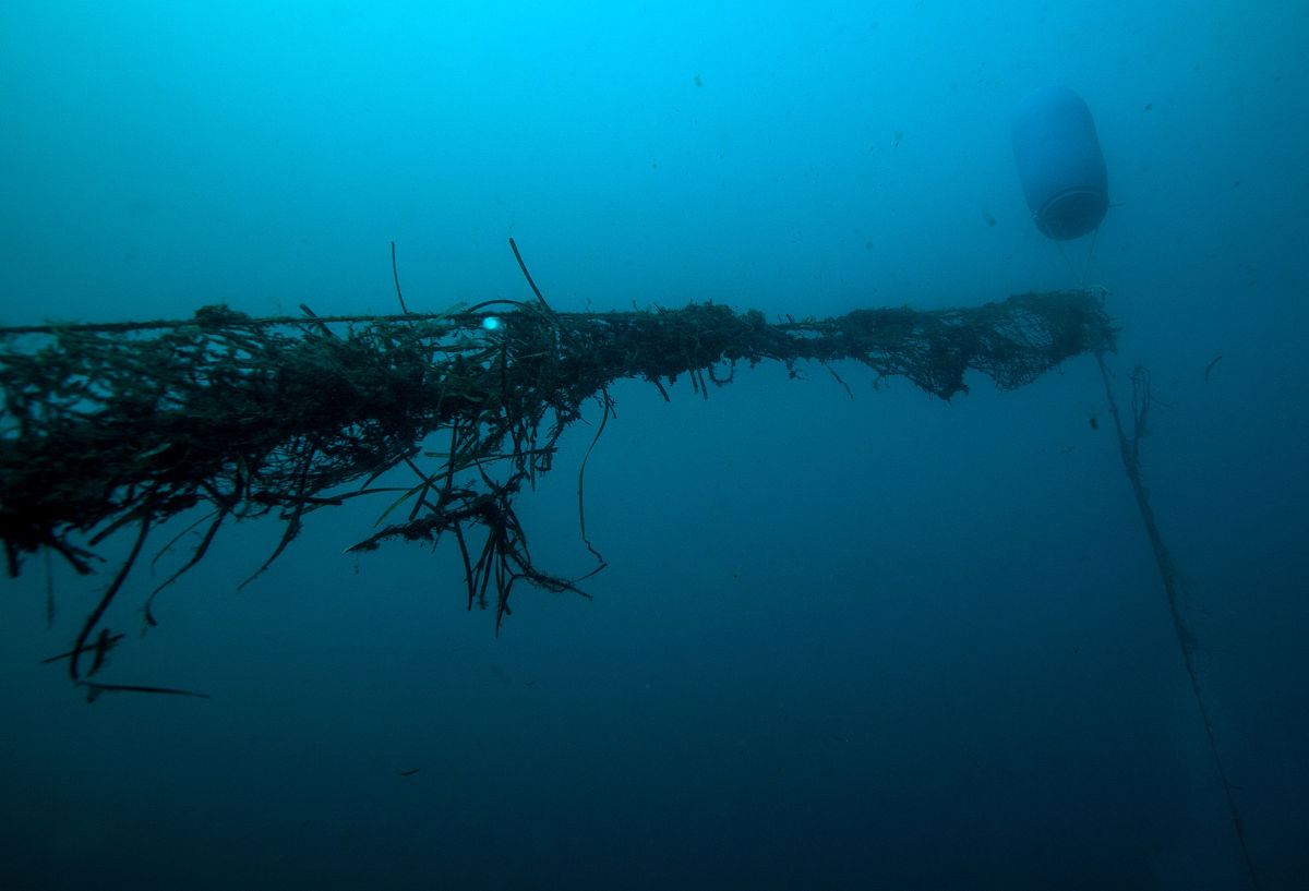 山东林航船舶专业解读：培养未来林航海洋科技人才