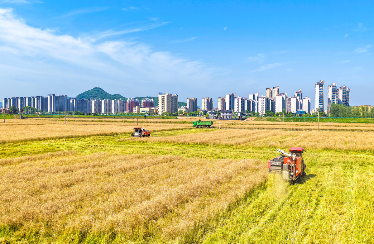请完善这一段话：耕地是保障国家粮食安全的根基。我国耕地资源的数量和格局基本稳定图1。近年来我国耕地面积总体变化较小袁承程2021；程维明2018除城镇化建设、生态退耕、进出平衡等造成耕地流失或新增程维明2018；刘纪远2014；刘沁萍2022耕地的空间分布格局基本不变刘纪远2018；并且我国耕地后备资源较少宜于开垦的土地资源基本上开垦殆尽所有具有适宜的自然质量的耕地后备资源中有40左右处于干旱与半