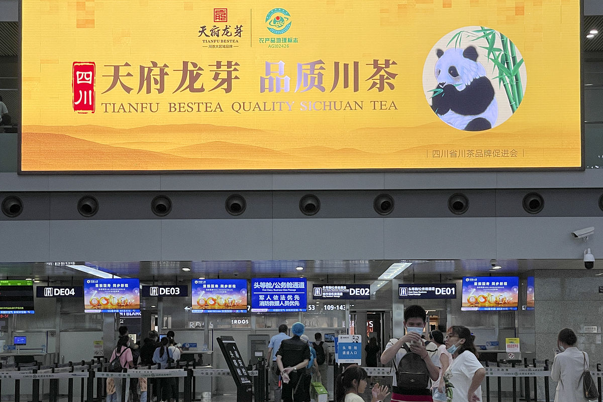 成都幼师学校招生对于学生的品质能力