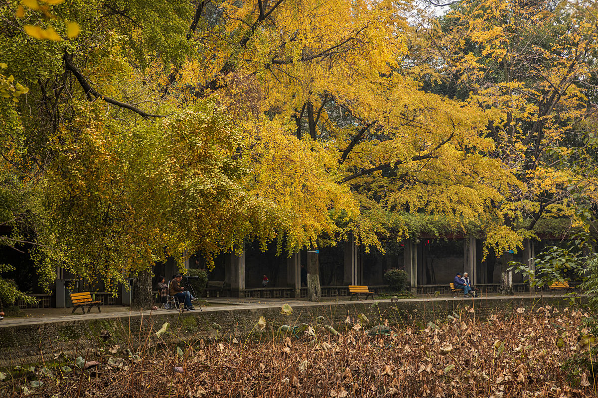 成都收费低廉的职业学院推荐