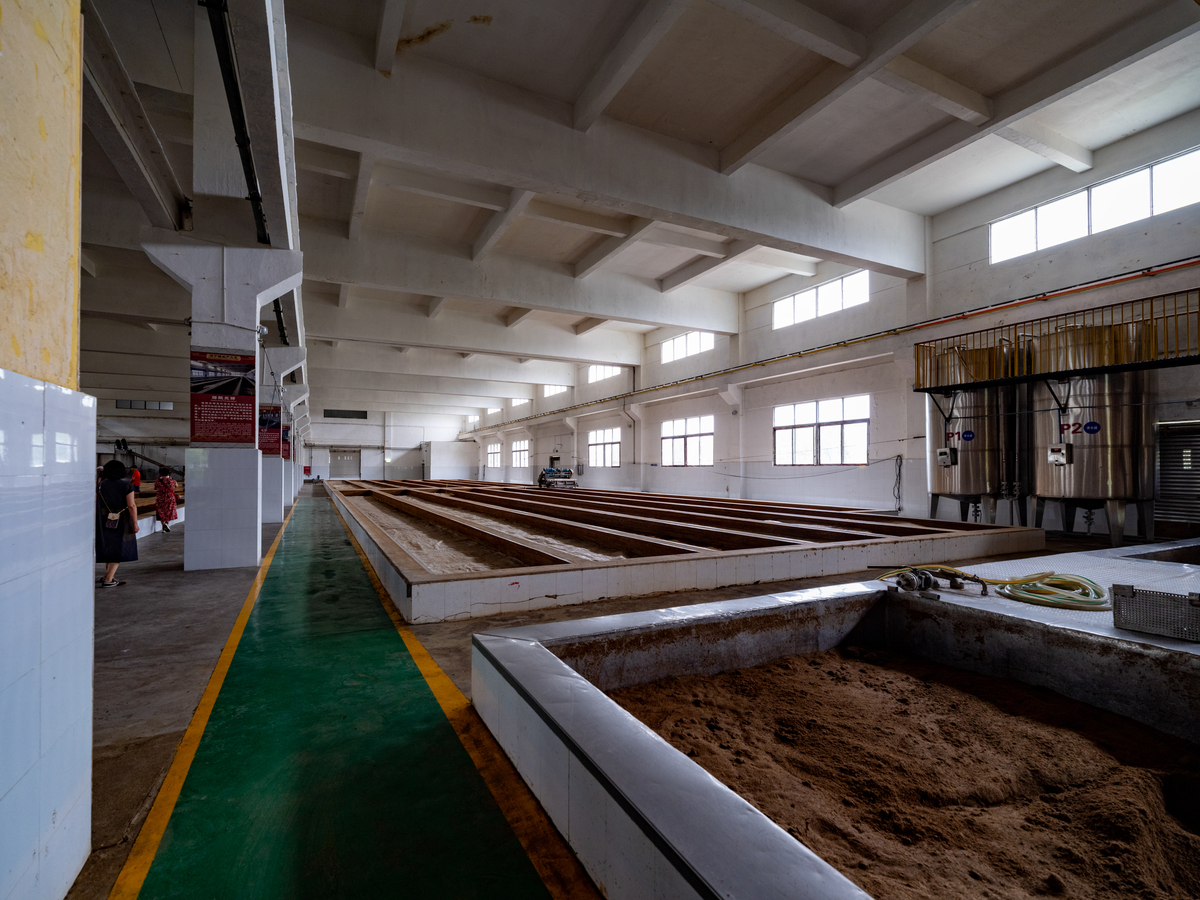 发酵车间平面设置